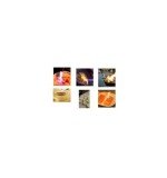 product_small_img1